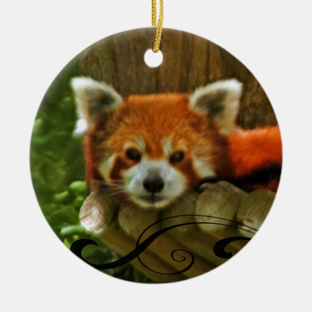 Ornement de Noël de vacances de panda rouge (Devant)
