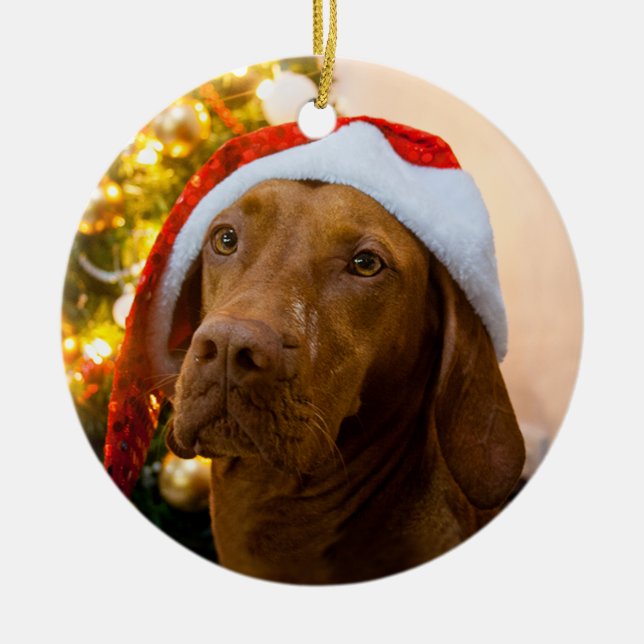 Ornement de Noël de Vizsla (chariot) (Devant)
