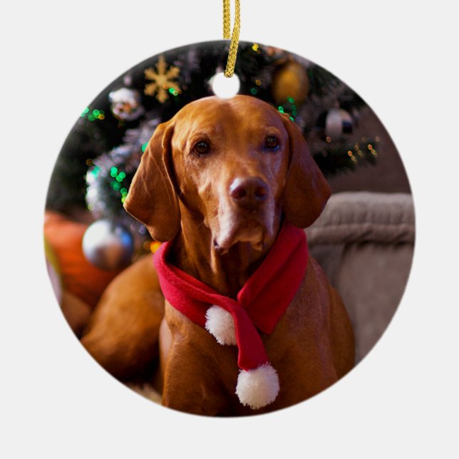 Ornement de Noël de Vizsla (Henry) (Devant)