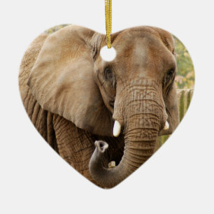 Ornement de Noël d'éléphant africain