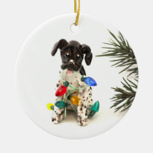 Ornement de Noël du chien de pointer à cheveux cou