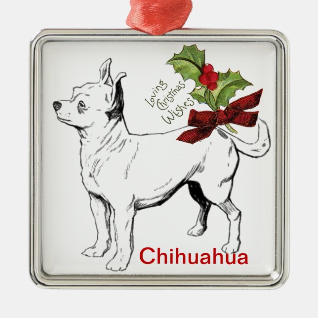 Ornement de Noël du Chihuahua (Devant)