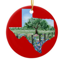 Ornement de Noël du Texas