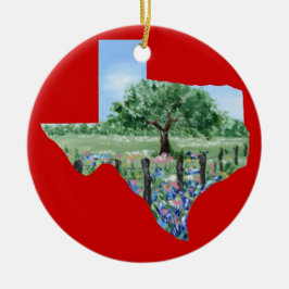 Ornement de Noël du Texas