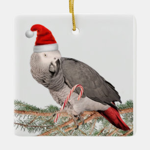 Ornement de Noël en céramique de perroquet gris d'