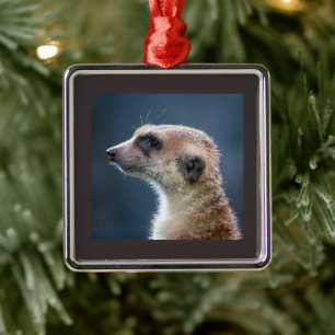 Ornement de Noël Mercurial Meerkat
