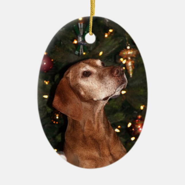 Ornement de Noël (Paris) (Devant)