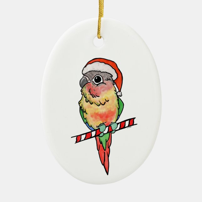 Ornement de Noël père Noël Conure (Devant)