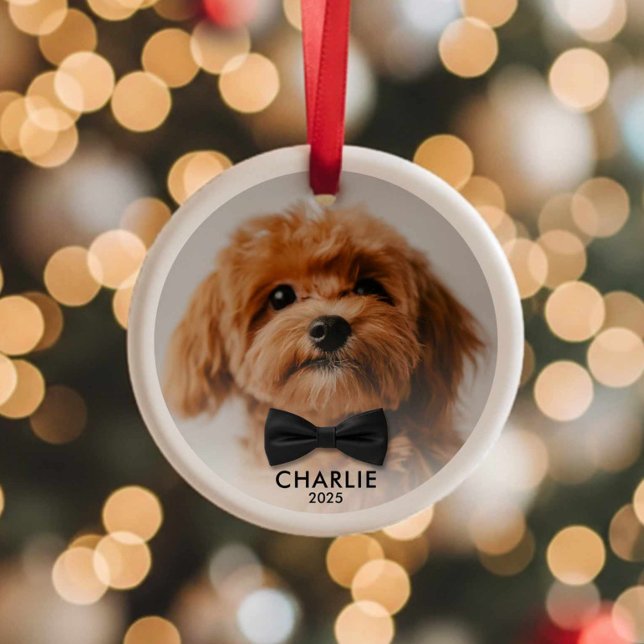 Ornement de Noël personnalisé avec photo de compag (Modern Minimalist Pet Photo Christmas Ornament)