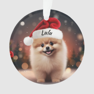 Ornement de Noël personnalisé de Poméranie