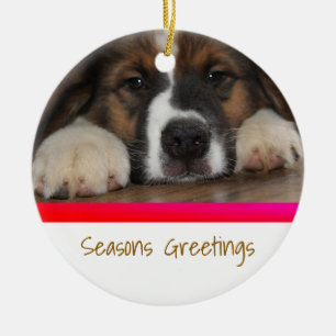 Ornement de Noël personnalisé pour animaux de comp