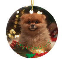 Ornement de Noël personnalisé pour chien – Photo p