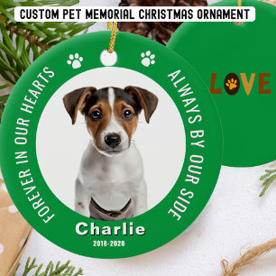 Ornement de Noël photo de souvenir vert pour anima