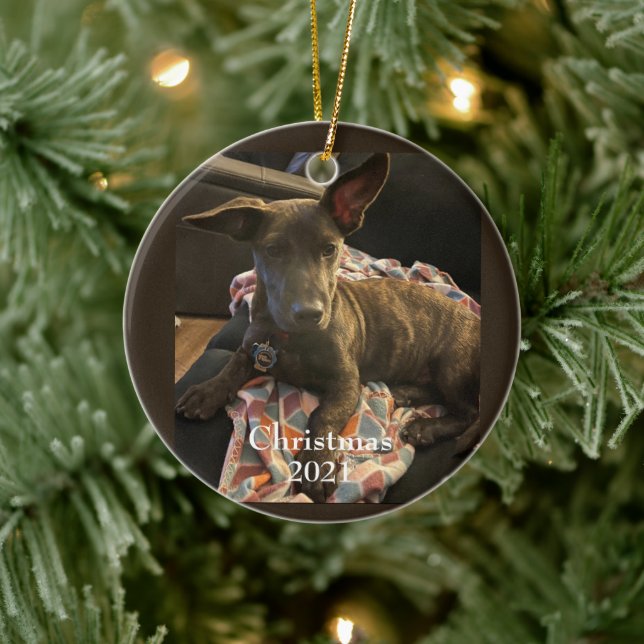 Ornement de Noël pour bébé fourrure (Arbre)