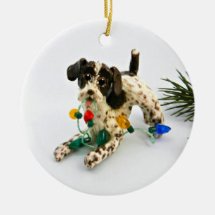 Ornement de Noël pour chien pointeur À poils durs 