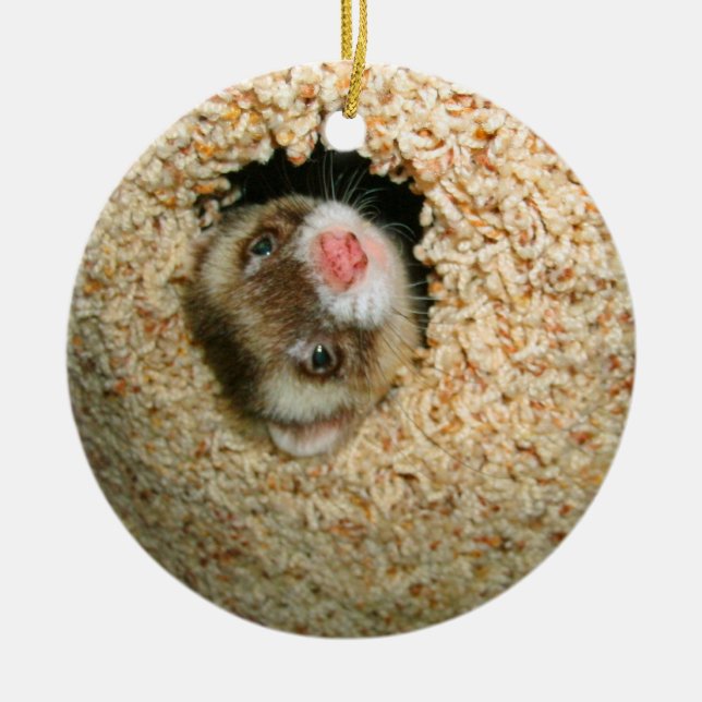 Ornement de Pauley de cache-cache (Devant)