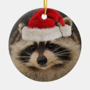 Ornement de Père Noël de raton laveur