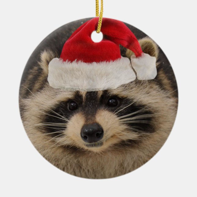 Ornement de Père Noël de raton laveur (Devant)