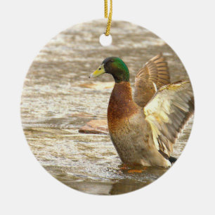 Ornement de photo de canard colvert 
