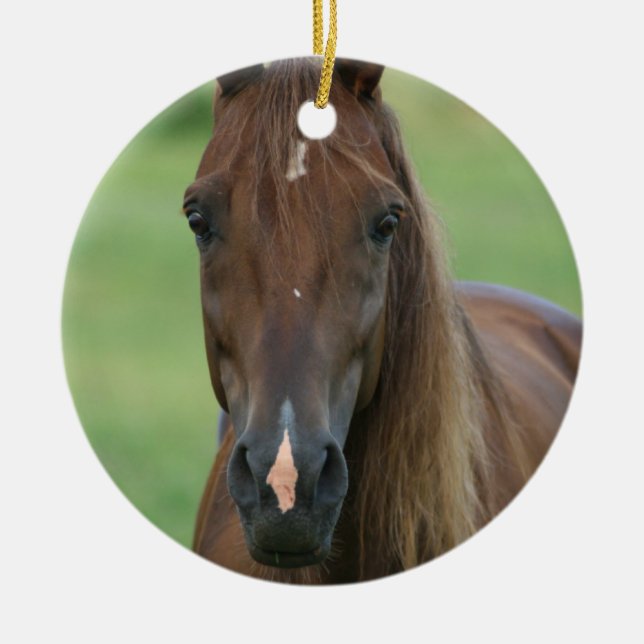 Ornement de photo de cheval de pur sang (Devant)