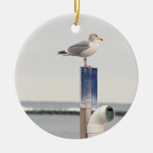 Ornement de photo de mouette