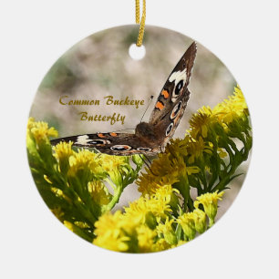 Ornement de photo de papillon de Buckey commun