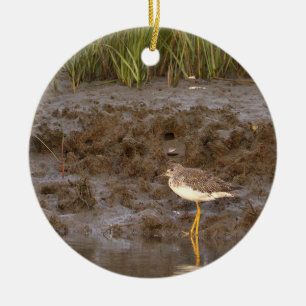 Ornement de photo d'oiseau