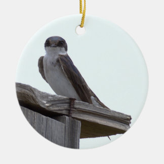 Ornement de photo d'oiseau