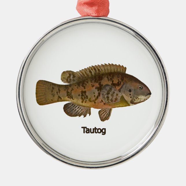 Ornement de poisson Tautog (Devant)