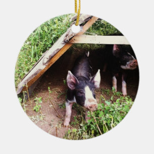 Ornement de porc de Noël