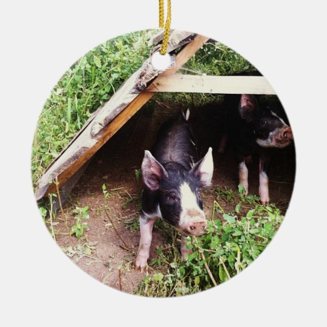 Ornement de porc de Noël (Devant)