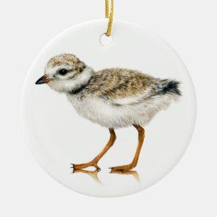 Ornement de poussin de tuyauterie