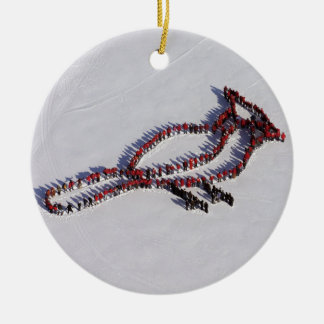 Ornement de projet de personnes du cardinal 2010