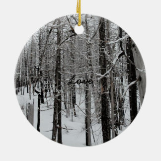Ornement de ski d'hiver/Noël d'amour