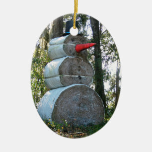 Ornement de Snowman en Floride