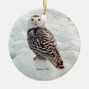 Ornement de Snowy Owl