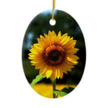 Ornement de tournesol