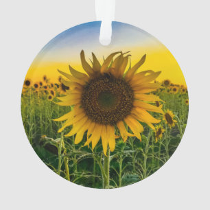 Ornement de tournesols