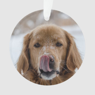Ornement de vacances de chien personnalisé Anima