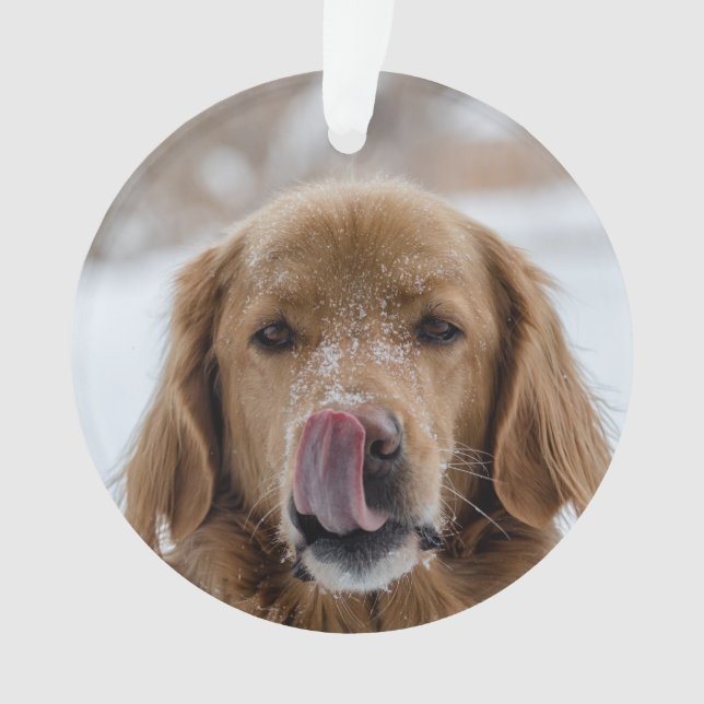 Ornement de vacances de chien personnalisé | Anima (devant)