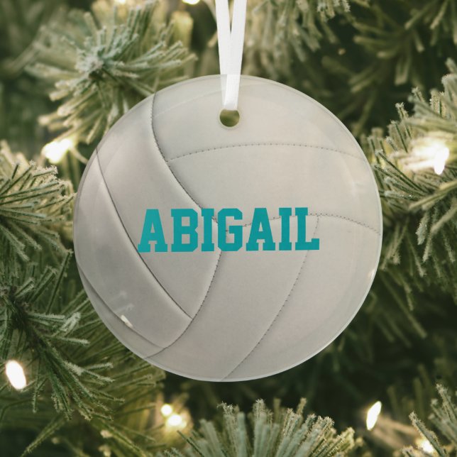 Ornement de volley-ball personnalisé (Insitu)