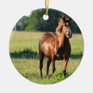Ornement debout de cheval de châtaigne