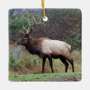 Ornement d'Elk