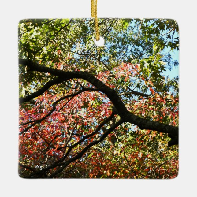 Ornement des couleurs d'automne (Devant)