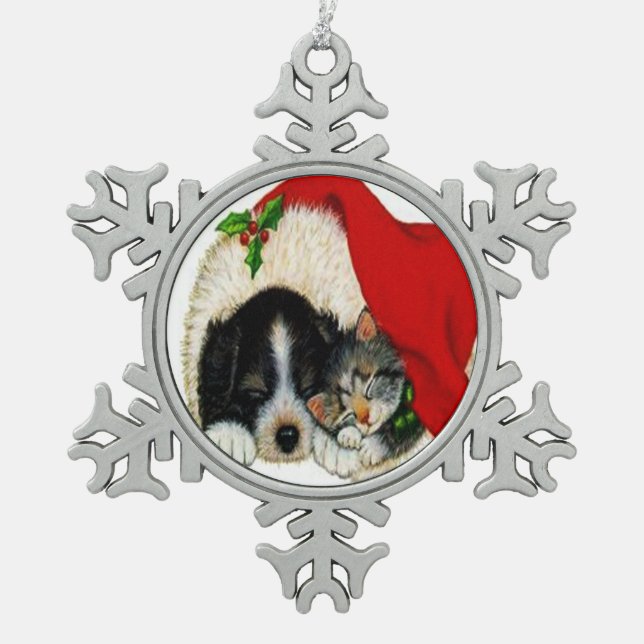 Ornement d'étain de neige pour chat et chien de No (Devant)