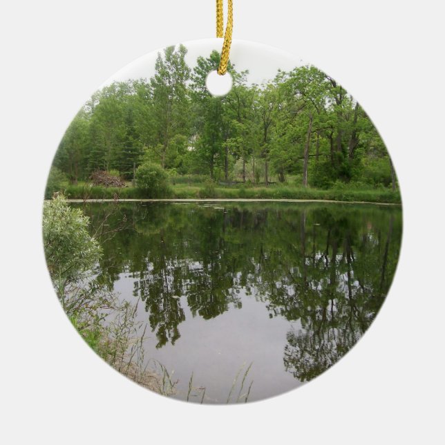 Ornement d'étang (Devant)