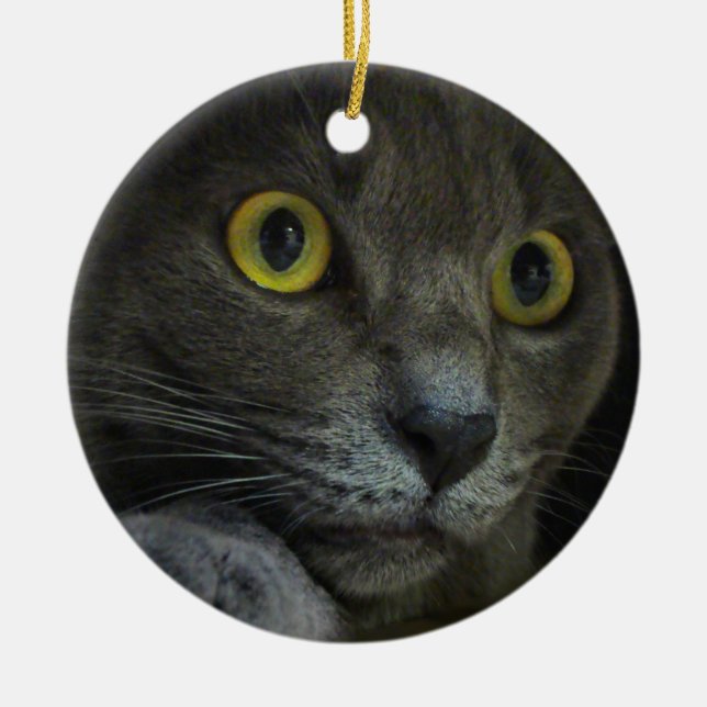 Ornement d'intensité (Devant)