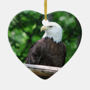 Ornement d'oiseau d'Eagle chauve