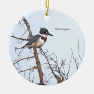 Ornement d'oiseau martin-pêcheur à ceinture