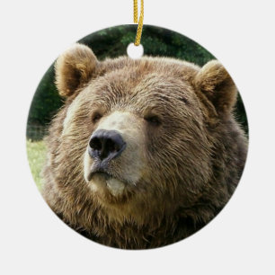 Ornement d'ours